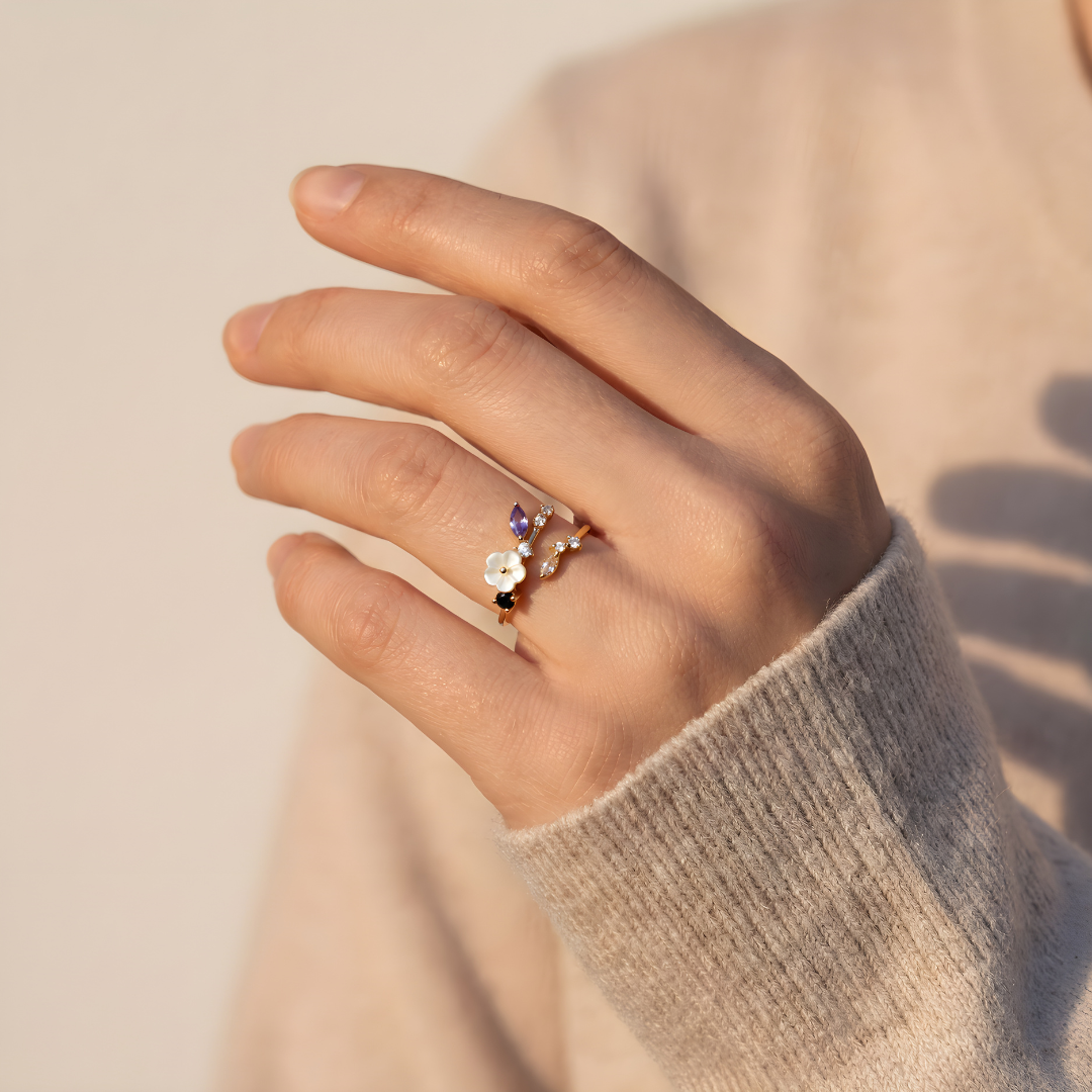Anillo Jardín