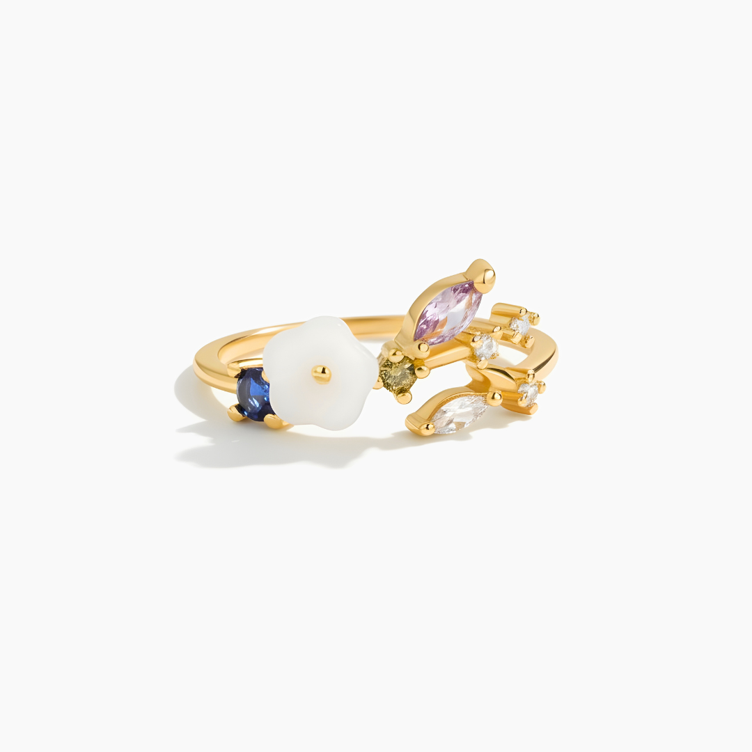 Anillo Jardín